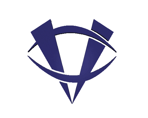 Bjj Vision Sticker by MartinsLifts