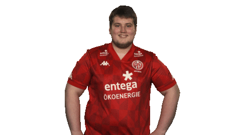 Happy 1 Fsv Mainz 05 Sticker by Bundesliga