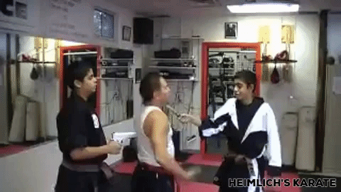karate GIF