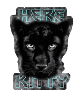 Carolina Panthers Football Sticker by Girl Tribe Co.
