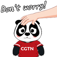 Sad Panda Sticker by CGTN V-Studio