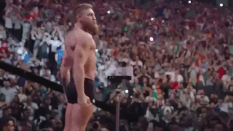 ufc 229 sport GIF by UFC