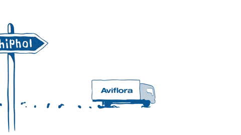 lucasflaton giphyupload GIF