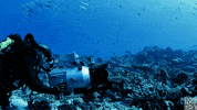 recording blue planet GIF by BBC America