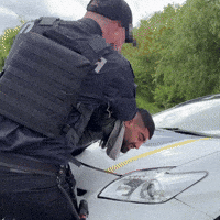 Police GIF