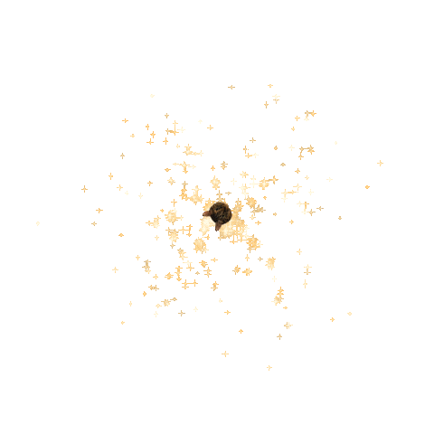 Cat Sticker by Instagram Tag In Virtual GIF Booth