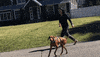 Homewithwkc GIF by Westminster Kennel Club
