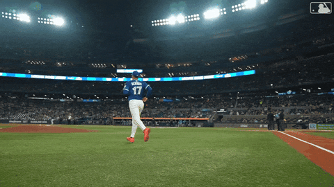 Blue Jays Baseball GIF by Toronto Blue Jays