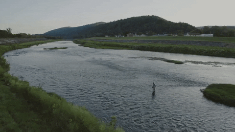 Fly Fishing GIF by Switzerfilm