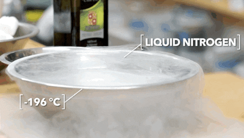 liquid nitrogen cooking GIF by Harvard University