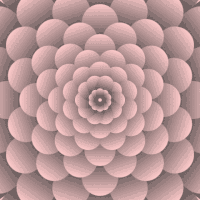 365gifs GIF by Borrachas