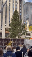 Christmas Tree Arrives at Rockefeller Center