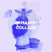 Lucollage GIF