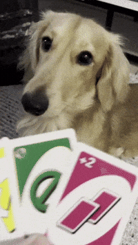 Reverse Card Games GIF