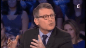 vincent peillon archive GIF by franceinfo