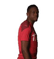 Denis Zakaria Switzerland Sticker by Swiss Football Association