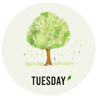 Be Calm Green Plant Sticker by Babybluecat