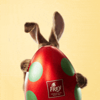Ciao Frey GIF by Migros