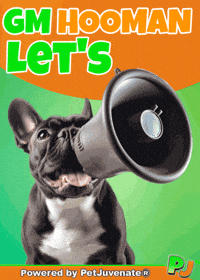 PetJuvenate gm french bulldog funny dog puppy love GIF