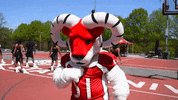 WSSURams su hbcu gorams 1892 GIF