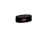 Ice Hockey Sticker by Sara Kay Graphic Designs