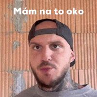 Oko GIF