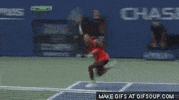 Serena Williams Tennis GIF