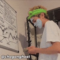 Scam Cho GIF