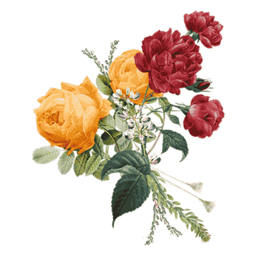 Wedding Spring Sticker by Loverly