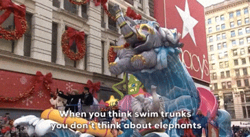 When You Think Swim Trunks