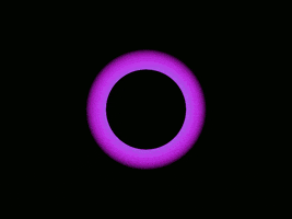 art yolo GIF by Bryan Unger