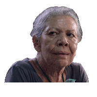 La Casa De Las Flores Historia Sticker by netflixlat