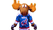 marty moose yes Sticker by Newcastle Northstars
