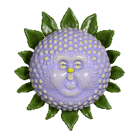 Time Frame Sticker by jellygummies