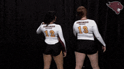 Stunt GIF by CUCougars