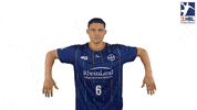 Sport Handball GIF by LIQUI MOLY HBL