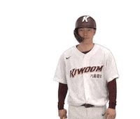 키움히어로즈 Sticker by Kiwoom Heroes Baseball Club