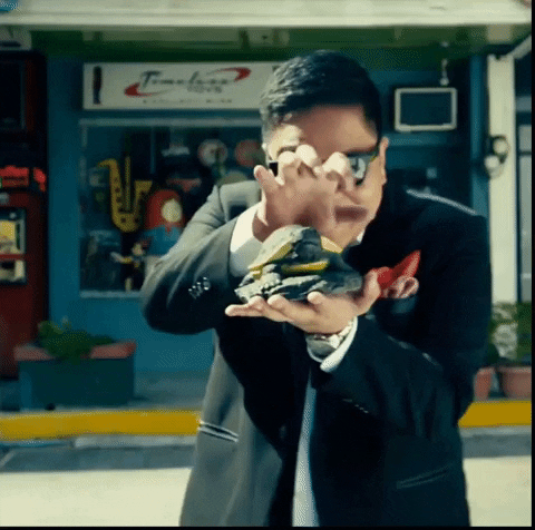 Ely Buendia Turtle GIF by The Itchyworms