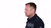 wernerharrer lichtmalermeister wernerharrer GIF