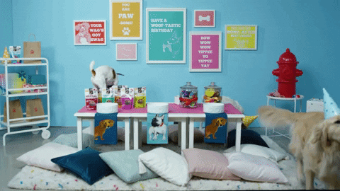 dog party dogs GIF
