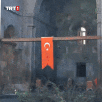 Ay Yildiz Flag GIF by TRT