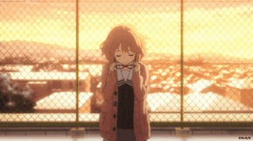 Beyond The Boundary Smile GIF by HIDIVE