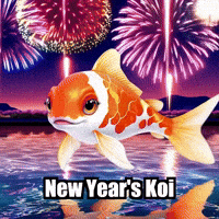 New Year Fireworks GIF by TheConfishius