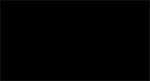 ANALORENABRIDAL giphygifmaker GIF