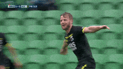 GIF by FOX Sports