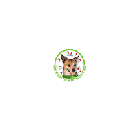 Chihuahua Sticker by Pimp Yo Pets