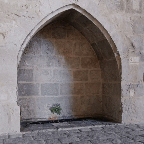 bagaxyz giphyupload GIF