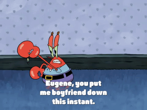 season 4 enemy in-law GIF by SpongeBob SquarePants
