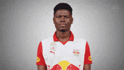 Hard Rock GIF by FC Red Bull Salzburg