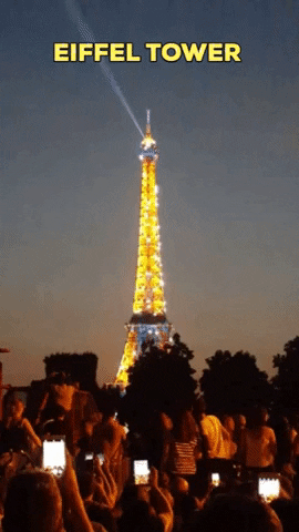 borafugir giphygifmaker eiffeltower GIF